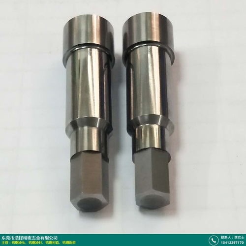 温州钨钢冲针 浩铎精密五金 厂商 产品定制嘛