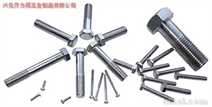 供应:316L 外六角螺栓,华人螺丝网提供各种供应:316L 外六角螺栓报价、价格、生产厂家、供应商-兴化齐力得五金制品