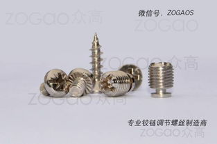 揭东县埔田镇东春五金制品厂是一家新型铰链调节螺丝生产厂家